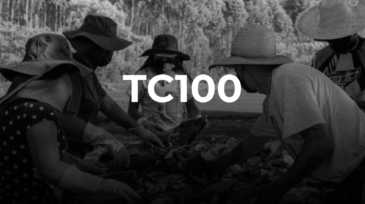 TC100