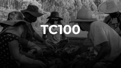 TC100